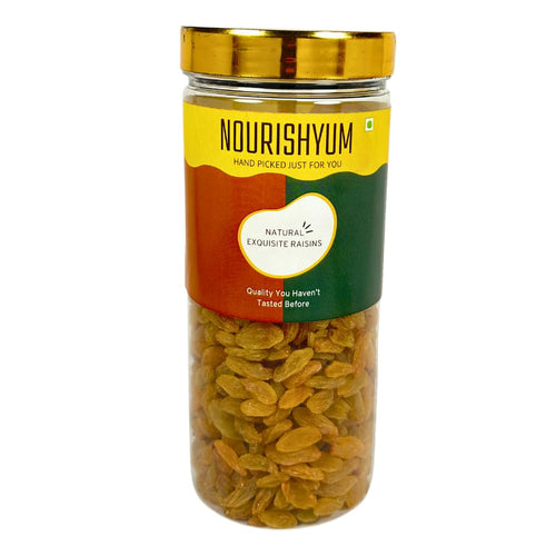 Nourishyum Raisins 500 grams With Reusable Jar | Dried Grapes | Kishmish | Nuts & Dry Fruits