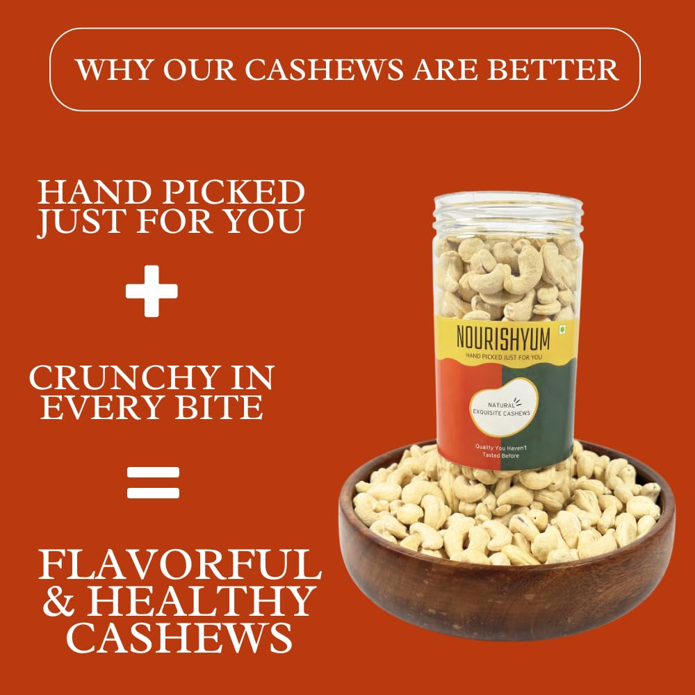 Nourishyum Premium WW320 (Grade A++) Cashews 500g With Reusable Jar | Whole Kaaju | 100% Natural King Size Kaju | Nuts & Dry Fruits | Healthy Snacks | Dry Fruit Gift Pack