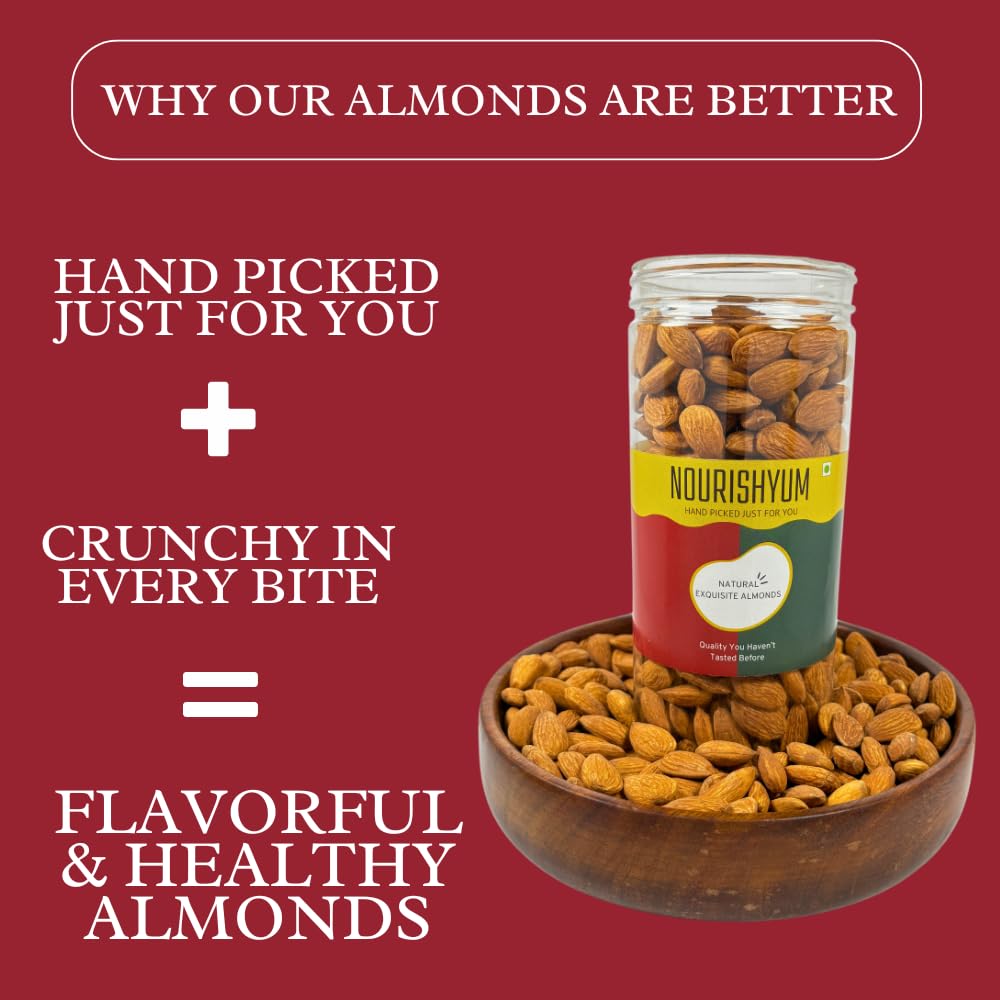 Nourishyum Premium California Almonds 500g With Reusable Jar | Badaam | 100% Natural Crunchy Badam Giri | Nuts & Dry Fruits | Healthy Snacks | Dry Fruit Gift Pack