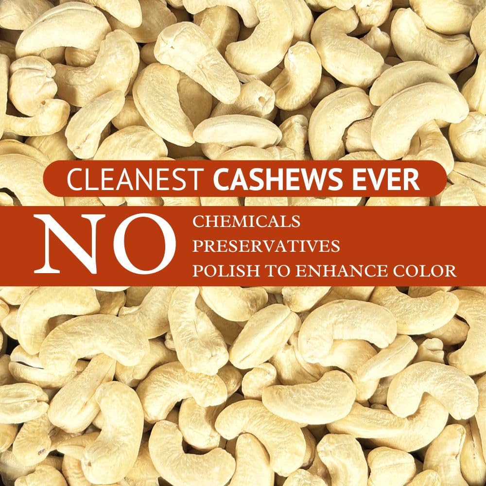 Nourishyum Premium WW320 (Grade A++) Cashews 500g With Reusable Jar | Whole Kaaju | 100% Natural King Size Kaju | Nuts & Dry Fruits | Healthy Snacks | Dry Fruit Gift Pack