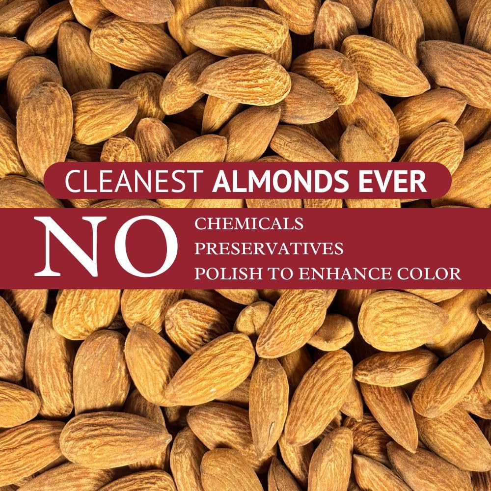 Nourishyum Premium California Almonds 500g With Reusable Jar | Badaam | 100% Natural Crunchy Badam Giri | Nuts & Dry Fruits | Healthy Snacks | Dry Fruit Gift Pack