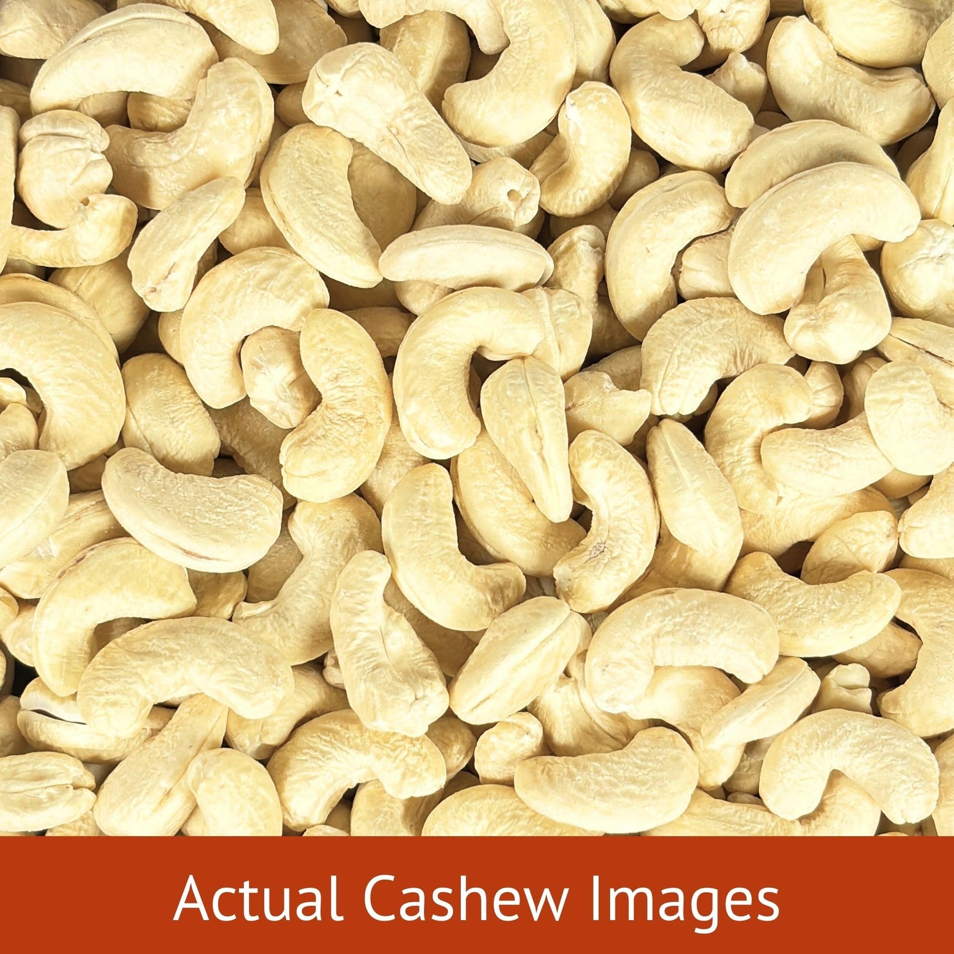 Nourishyum Premium WW320 (Grade A++) Cashews 500g With Reusable Jar | Whole Kaaju | 100% Natural King Size Kaju | Nuts & Dry Fruits | Healthy Snacks | Dry Fruit Gift Pack