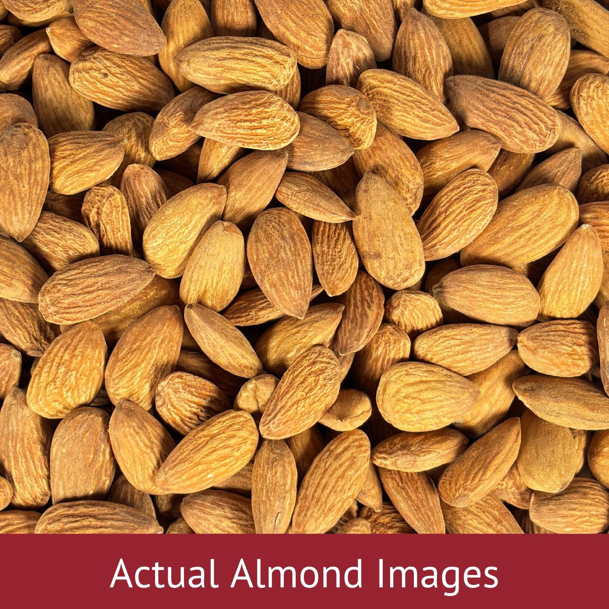 Nourishyum Premium California Almonds 500g With Reusable Jar | Badaam | 100% Natural Crunchy Badam Giri | Nuts & Dry Fruits | Healthy Snacks | Dry Fruit Gift Pack